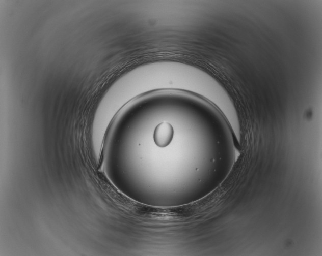 X0000116350316200912151358