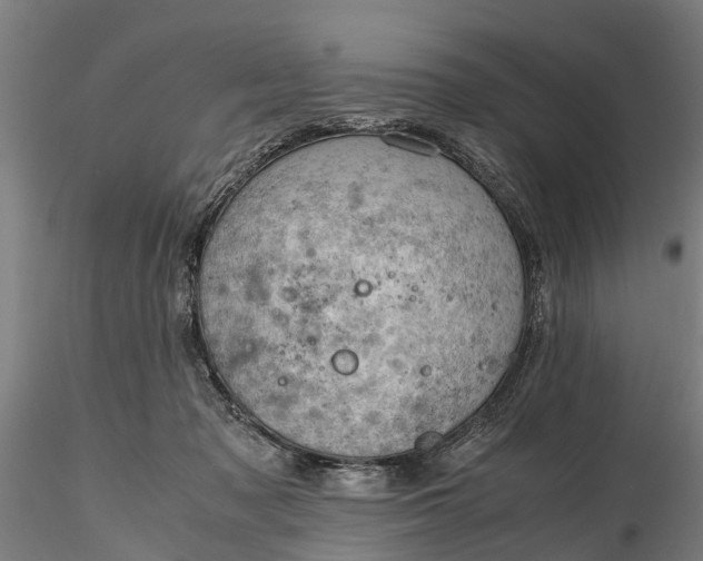 X0000116350317200912151358