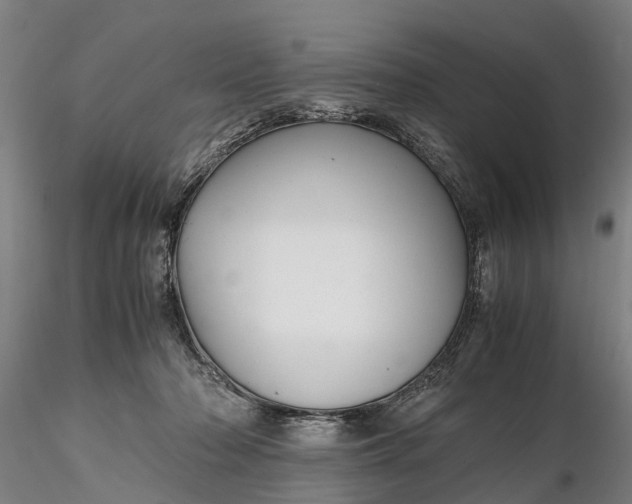 X0000116350318200912151358