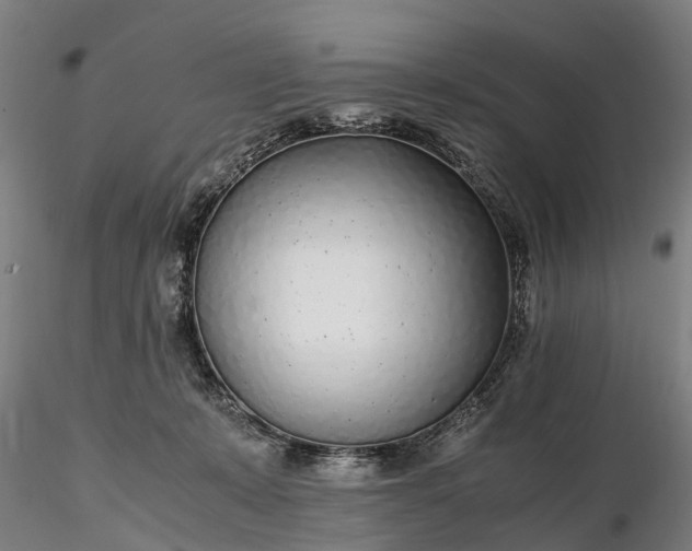 X0000116350319200912151358