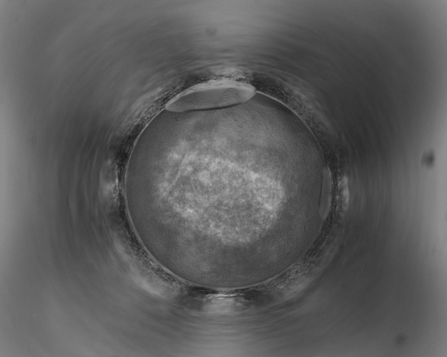 X0000116350320200912151358