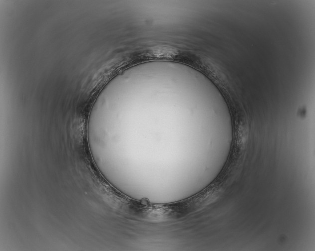 X0000116350321200912151358