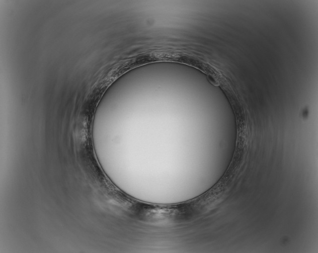 X0000116350323200912151358