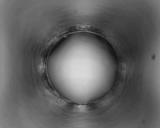 X0000116350324200912151358