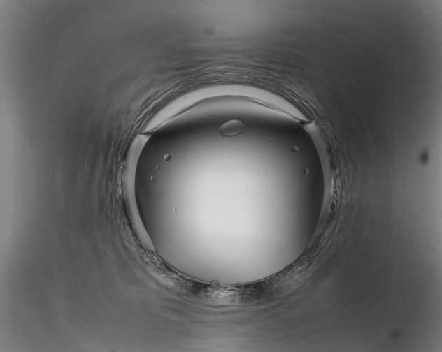 X0000116350325200912151358