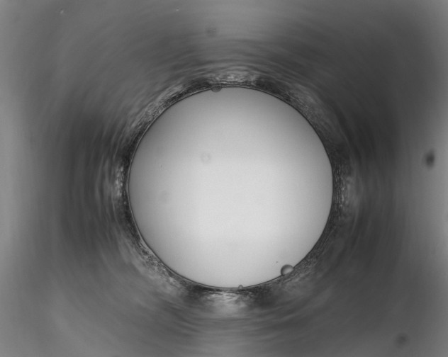 X0000116350326200912151358