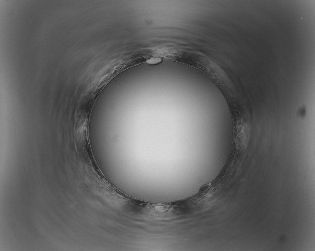 X0000116350329200912151357