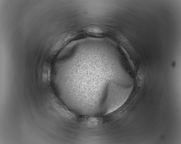 X0000116350330200912151357