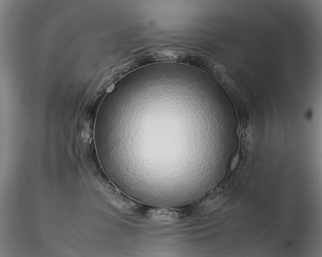 X0000116350331200912151357