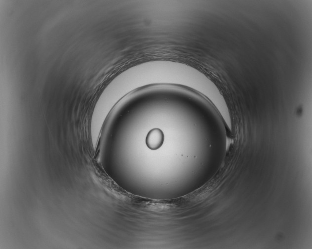 X0000116350332200912151357