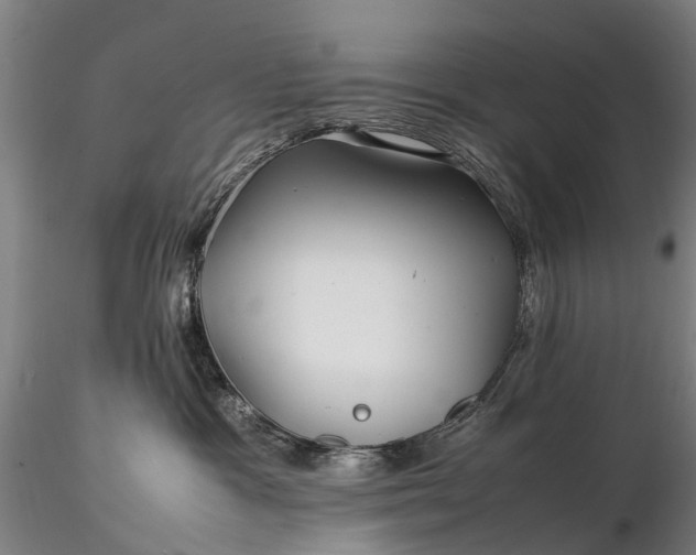 X0000116350333200912151357