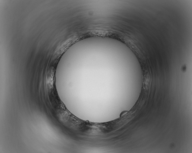 X0000116350334200912151357