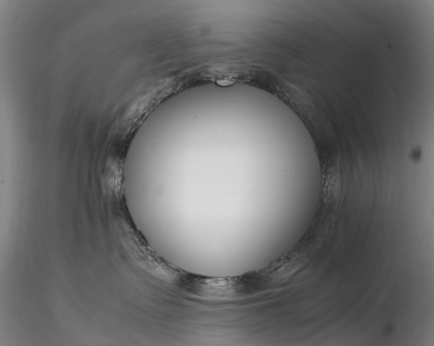 X0000116350335200912151357