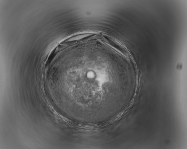 X0000116350337200912151357