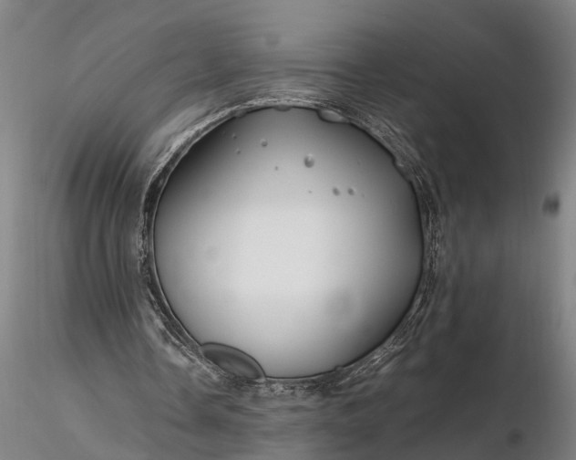 X0000116350338200912151357