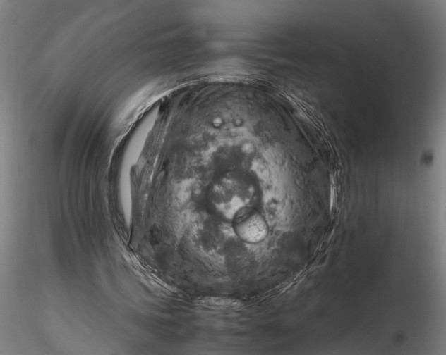 X0000116350339200912151357