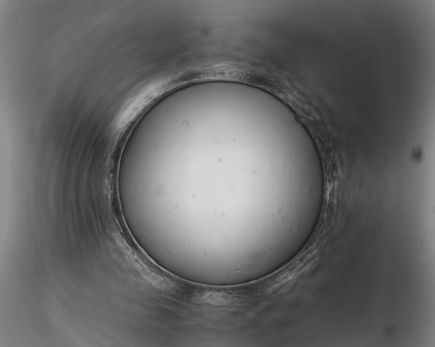 X0000116350341200912151357