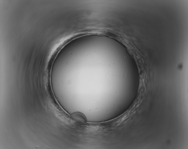 X0000116350342200912151357