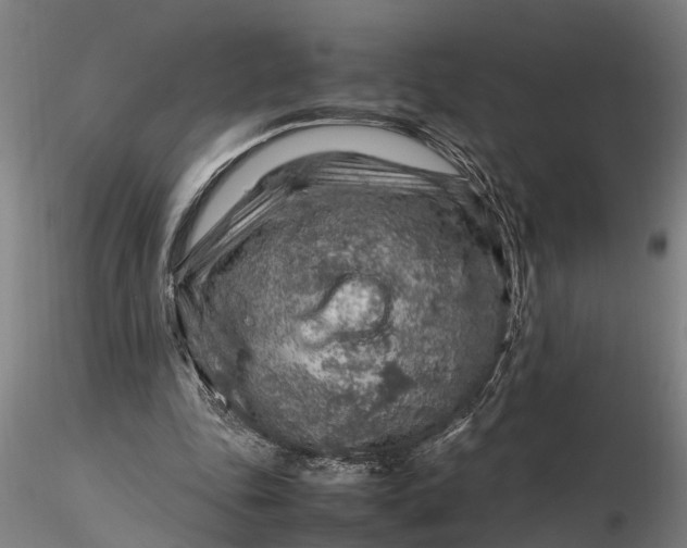 X0000116350343200912151357