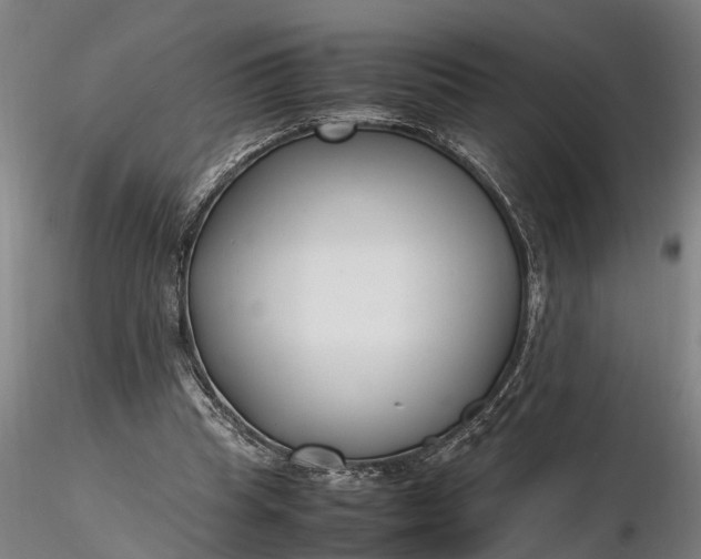 X0000116350345200912151357