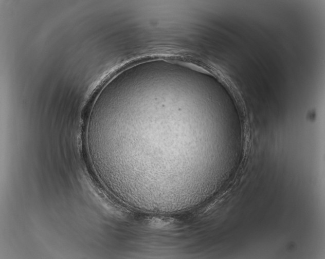 X0000116350346200912151357