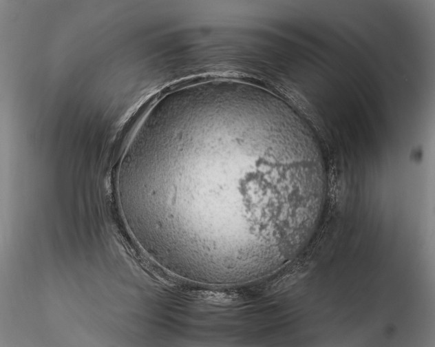 X0000116350347200912151357