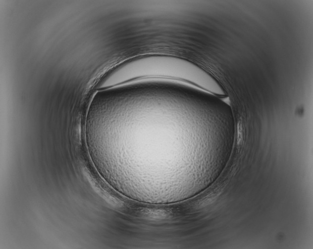 X0000116350349200912151357