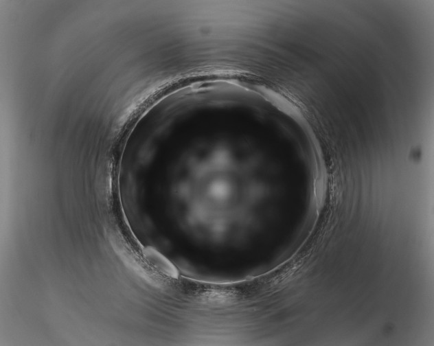 X0000116350350200912151357