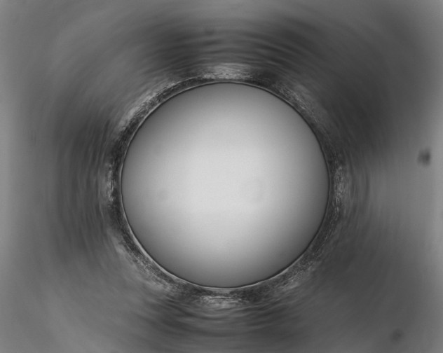 X0000116350351200912151357