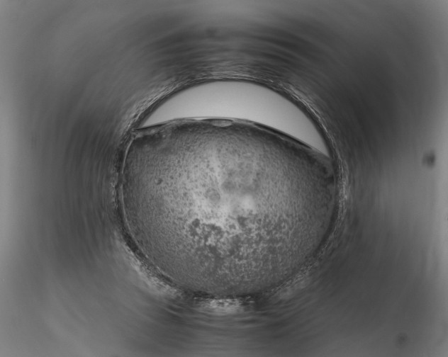 X0000116350353200912151357