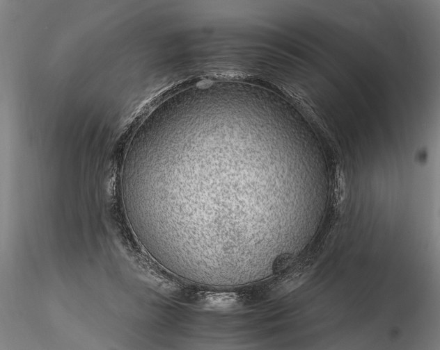 X0000116350355200912151357