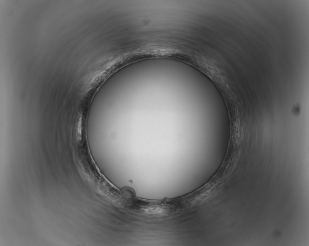 X0000116350358200912151357