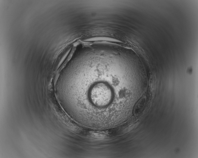 X0000116350359200912151357