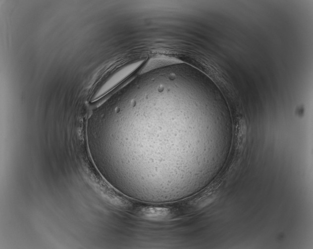 X0000116350361200912151357