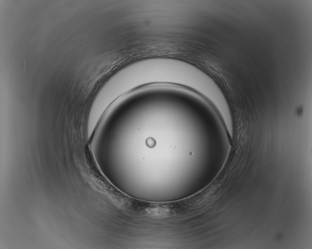 X0000116350362200912151357