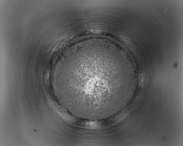 X0000116350365200912151357