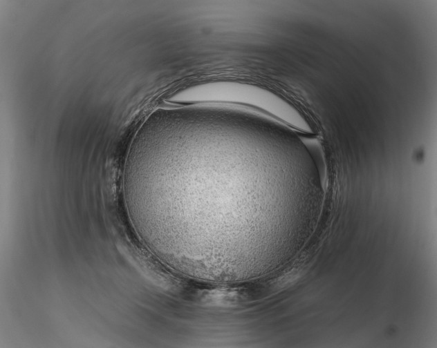 X0000116350366200912151357