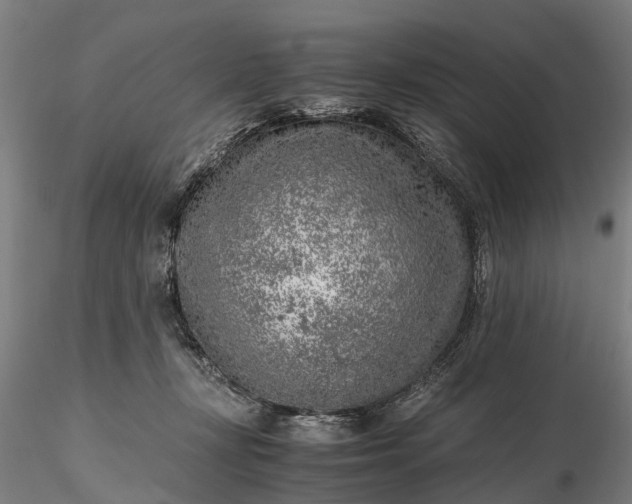 X0000116350367200912151357