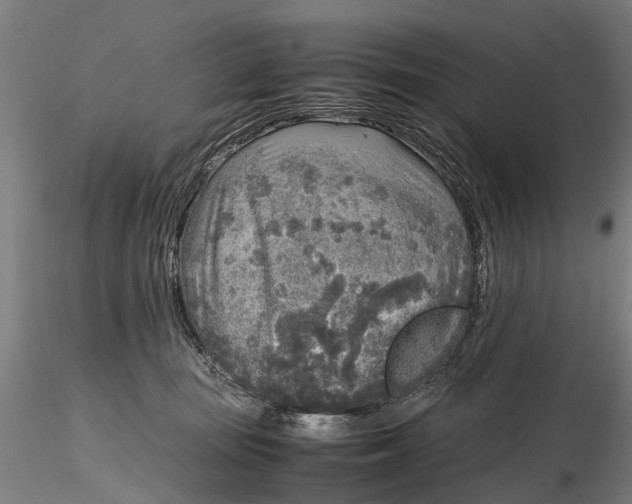 X0000116350371200912151357