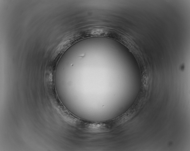 X0000116350375200912151357