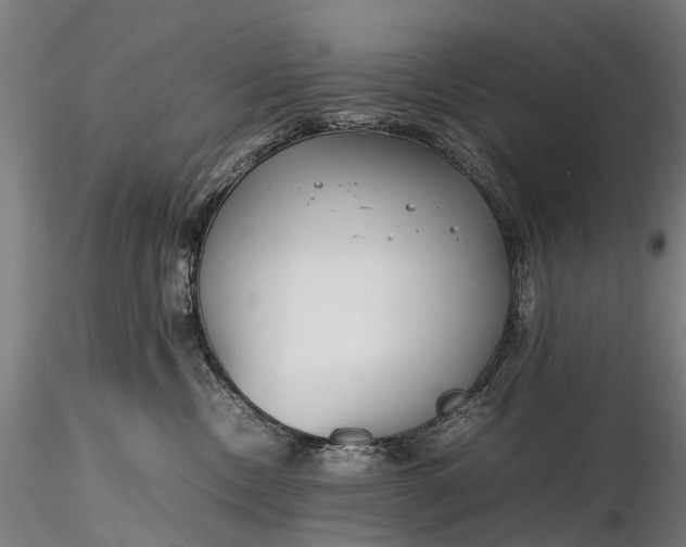 X0000116350378200912151357