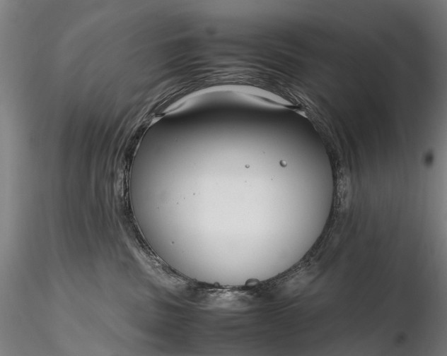 X0000116350379200912151357