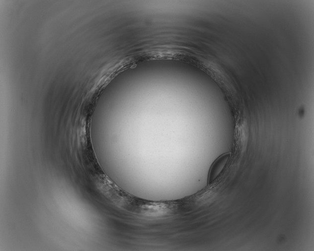 X0000116350381200912151357