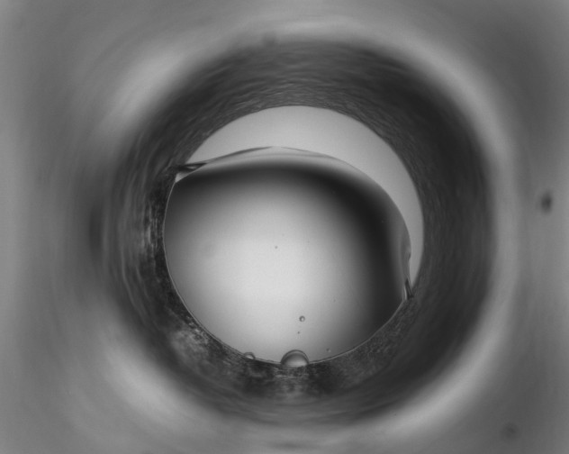 X0000116350382200912151357