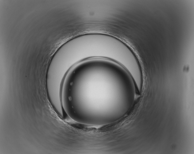 X0000116350385200912151357