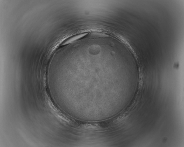 X0000116350386200912151357