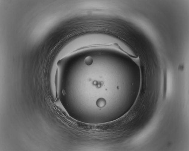 X0000116350387200912151357