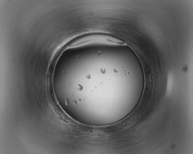 X0000116350388200912151356