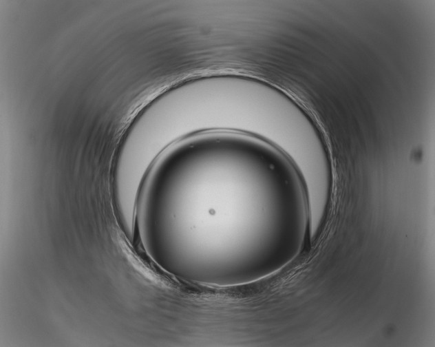 X0000116350389200912151356