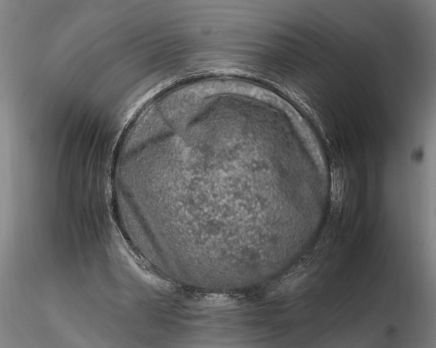 X0000116350390200912151356